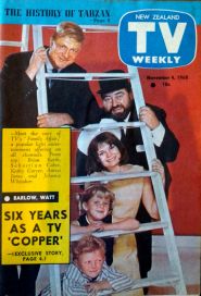 tv_weekly_1968-11-04_family_affair.jpg