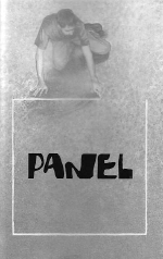 Cover of Panel